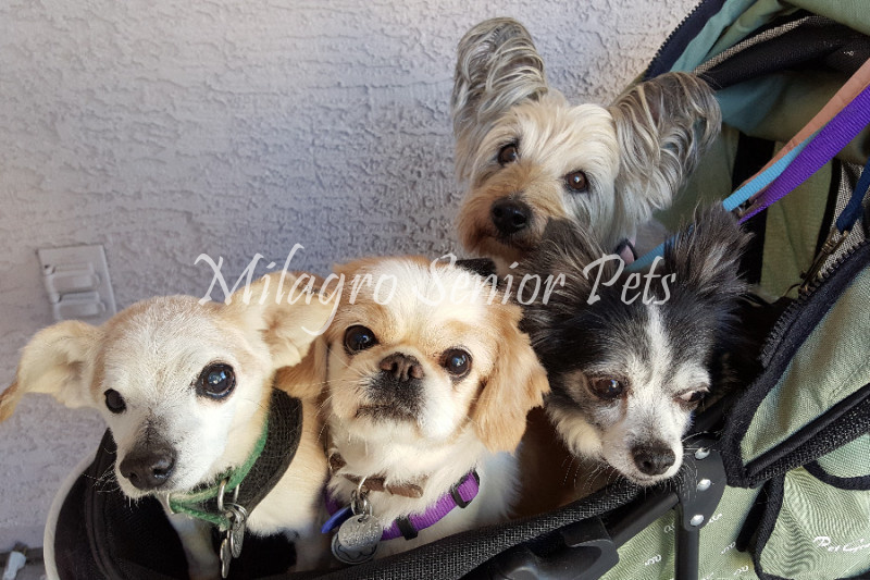 Seniors Gallery
